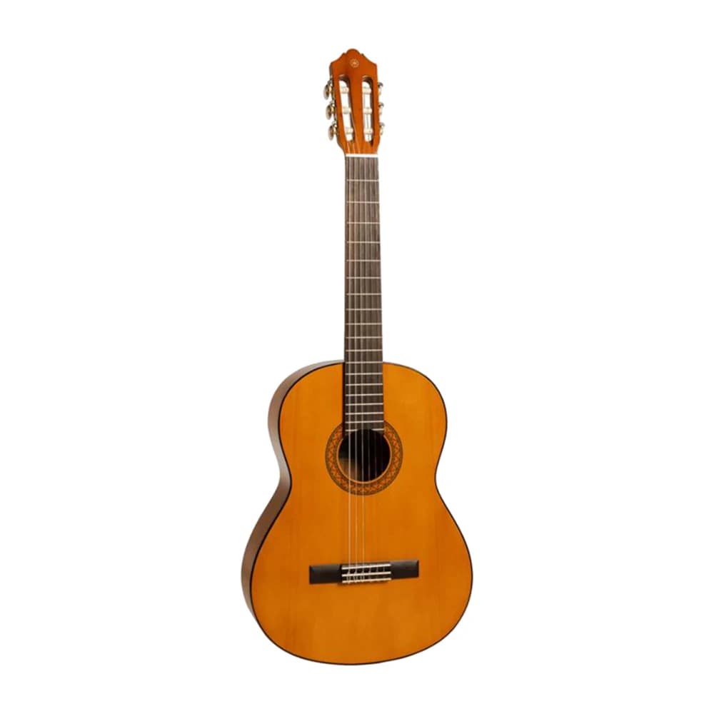 گیتار کلاسیک C40 / FA - طبیعی